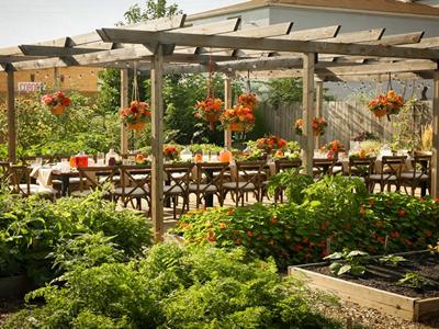 BDP+Urban+Farm+Dinner+August+1st image