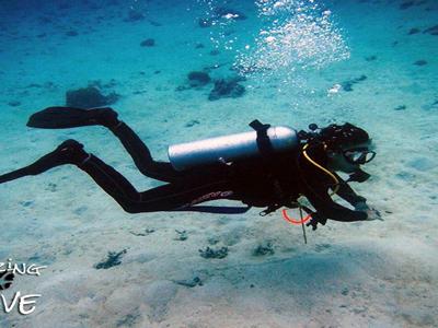 Tioman%2C+Malaysia%3A+Dive+into+Genting+Island+Reef image